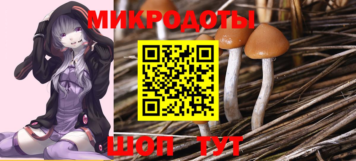 Галлюциногенные грибы прущие грибы Краснознаменск