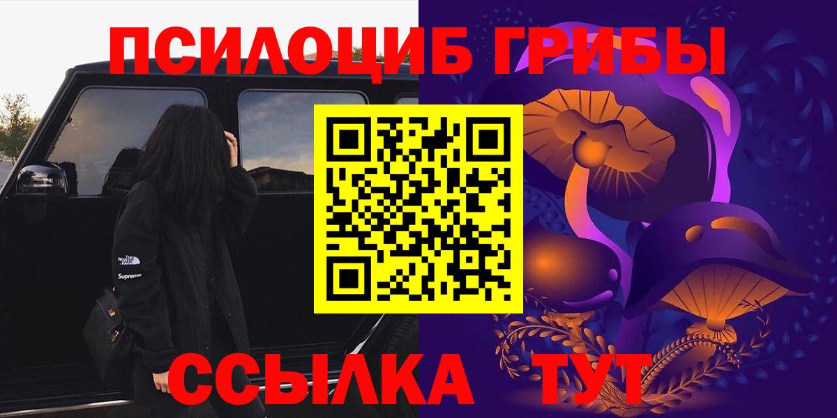 Псилоцибиновые грибы прущие грибы  закладки  Краснознаменск  Вход с VPN 