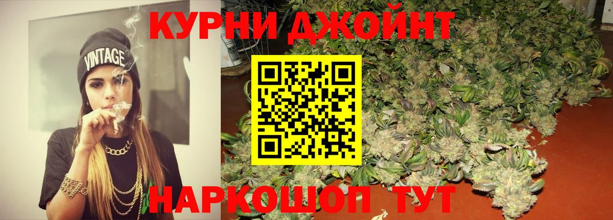 Марихуана сатива Краснознаменск